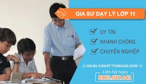 Gia sư dạy lý lớp 11