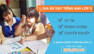 gia sư dạy tiếng anh lớp 5