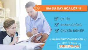 thuê Gia sư dạy hóa lớp 11
