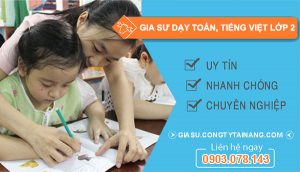 thuê Gia sư dạy toán, tiếng việt lớp 2