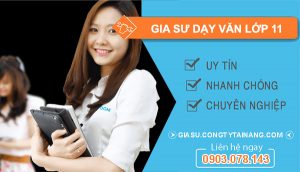 thuê Gia sư dạy văn lớp 11
